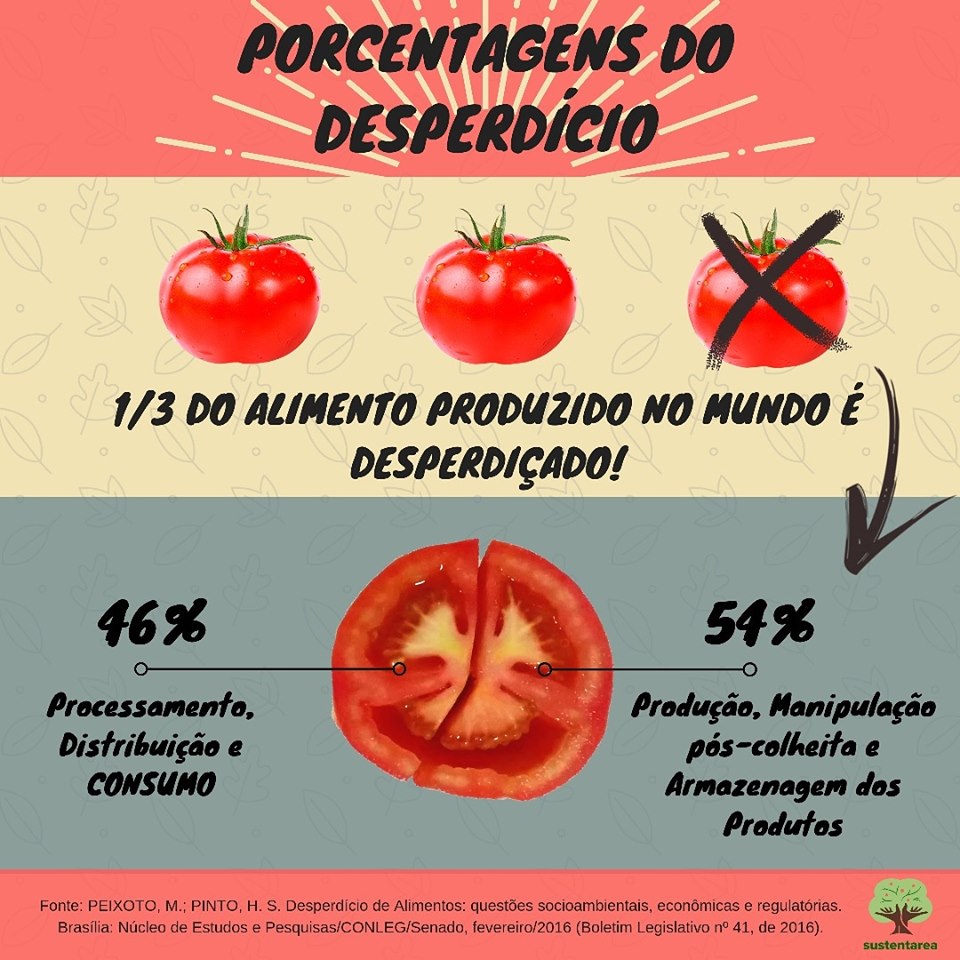 Organização Estratégica: A Geladeira e Despensa Que Prolongam a Vida dos Alimentos - inspiração 1