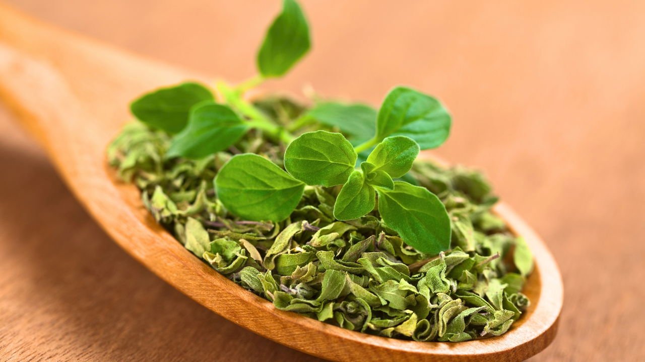 O Orégano de Interior: Superando a Falta de Luz Natural - inspiração 2