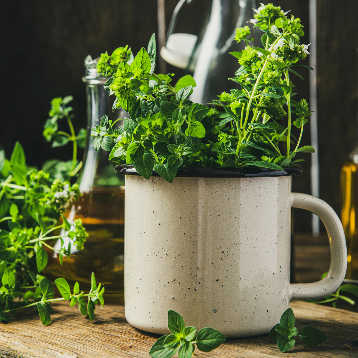 Sinais de Alerta: Como Saber se seu Orégano Está Com Pouco Sol - inspiração 1