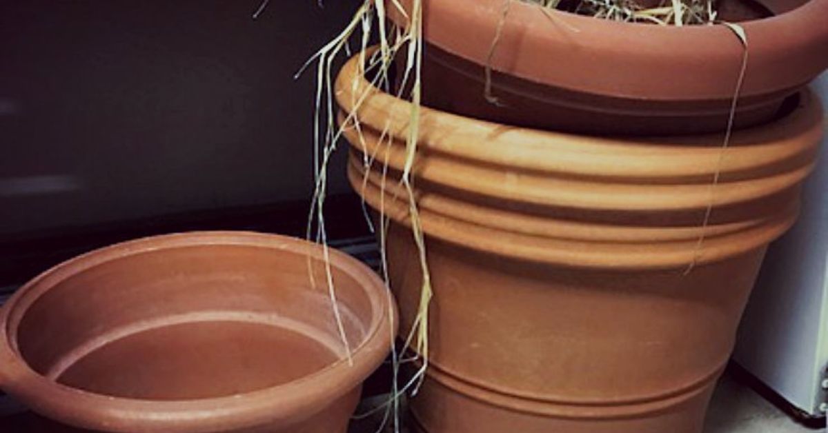 O Delicado Efeito Envelhecido: Pátina para uma História no Vaso - inspiração 2