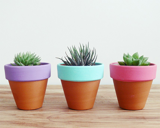 A Reinvenção do Plástico: Elegância Acessível em Terracota - inspiração 3