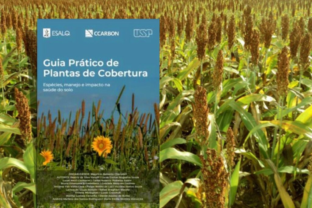 Crotalária: Ouro para solos cansados - inspiração 3