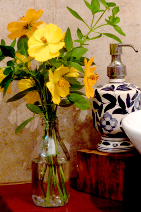 Flores no Manjericão? Saiba Por Que Você Deve Cortá-las! - inspiração 1