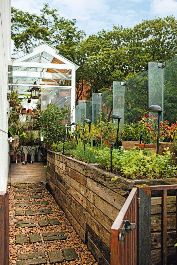 Couve Deliciosa: O Segredo para Folhas Tenras e Saborosas na Sua Mesa - inspiração 1