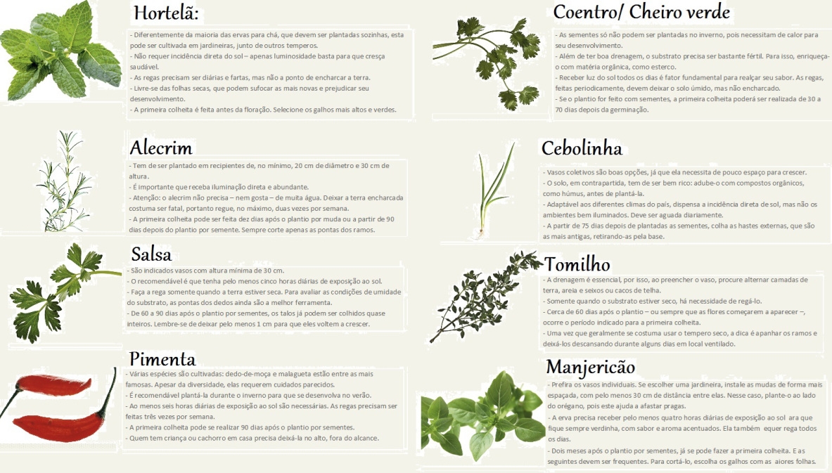 Acelga no Ponto: Colha no Momento Certo para Aproveitar ao Máximo os Nutrientes - inspiração 2