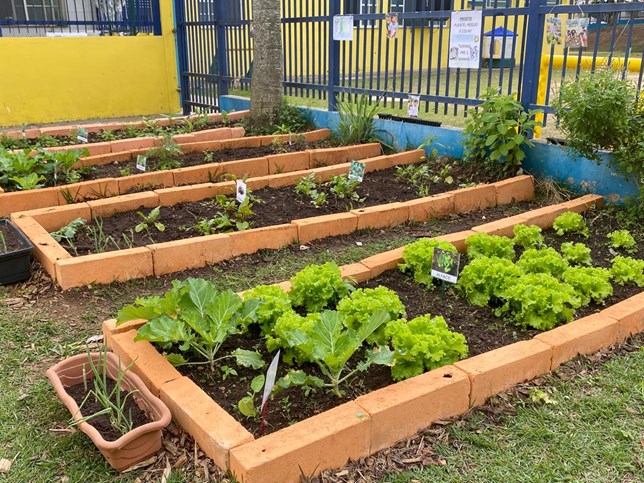 Acelga no Ponto: Colha no Momento Certo para Aproveitar ao Máximo os Nutrientes - inspiração 3