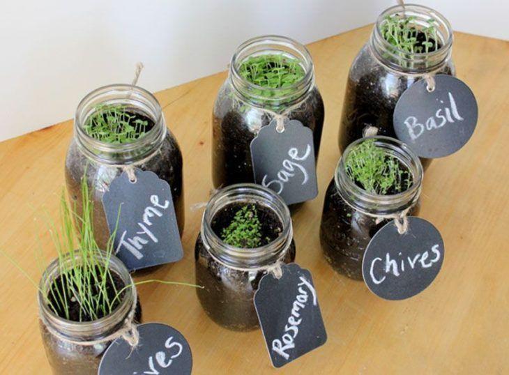 Tomate Suculento: Acerte o Ponto para um Sabor Intenso e Doçura Natural - inspiração 2