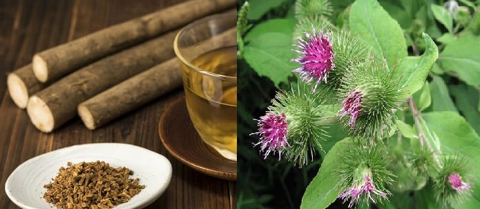 Cabelos de Capa de Revista: O Impulso da Bardana para Fios Fortes e Brilhantes - inspiração 3