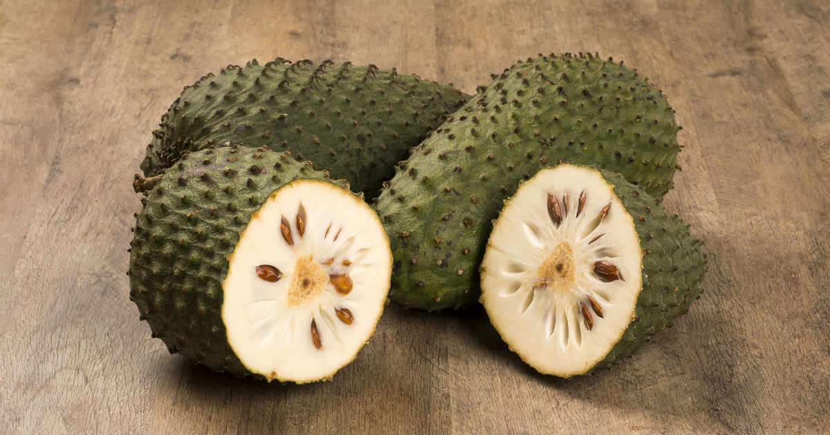 Além do Câncer: Quais Outros Benefícios (Comprovados) da Graviola? - inspiração 1