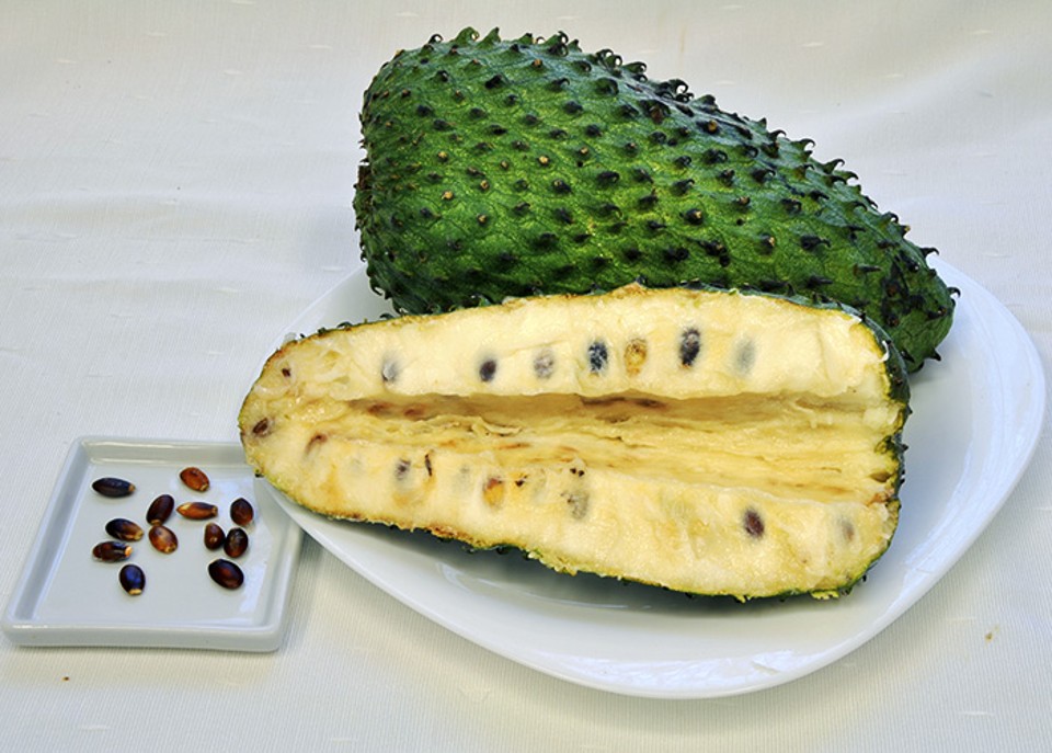 Por que a Falta de Estudos Clínicos em Humanos é Crucial - inspiração 2