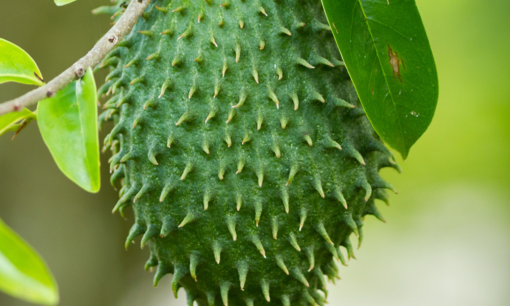 O Alerta do INCA e Outras Instituições de Saúde: O Que Dizem? - inspiração 1