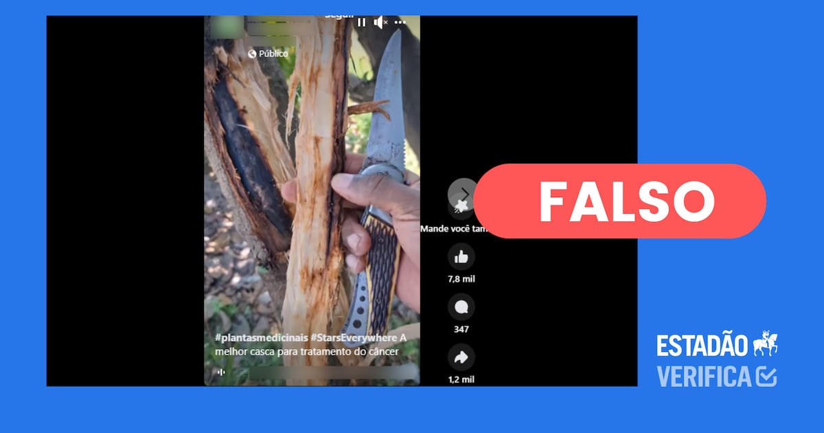 Os Riscos Neurológicos do Consumo Excessivo de Graviola: Sintomas e Prevenção - inspiração 3