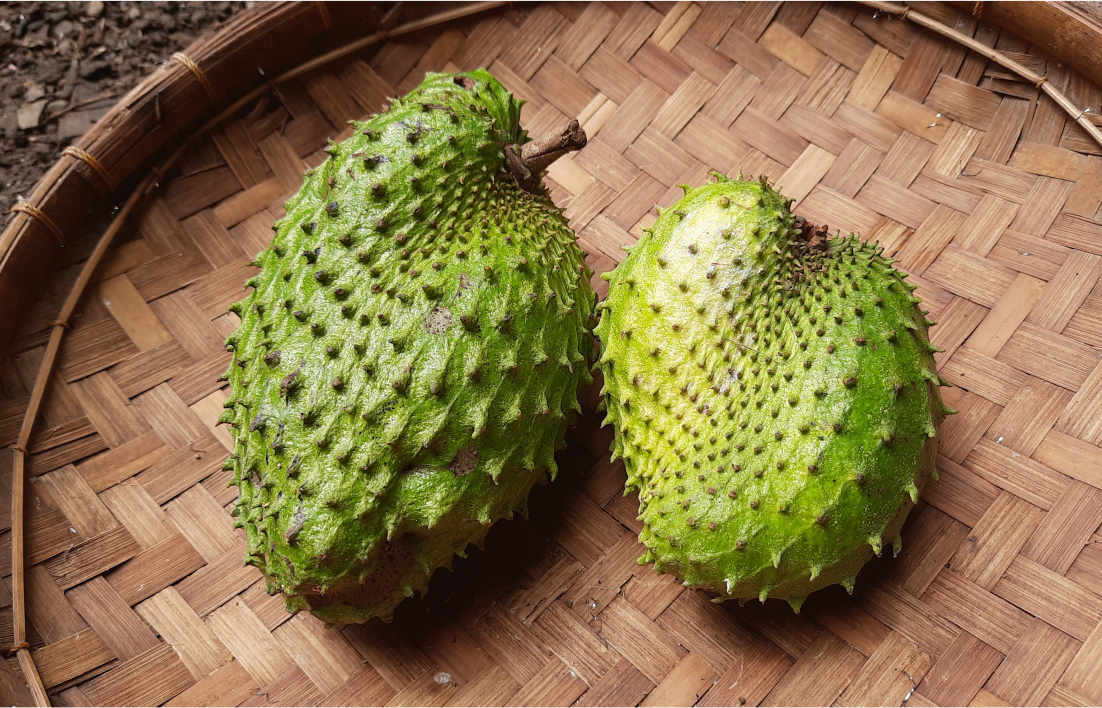 Interações Perigosas: Graviola e Medicamentos Oncológicos Convencionais - inspiração 3