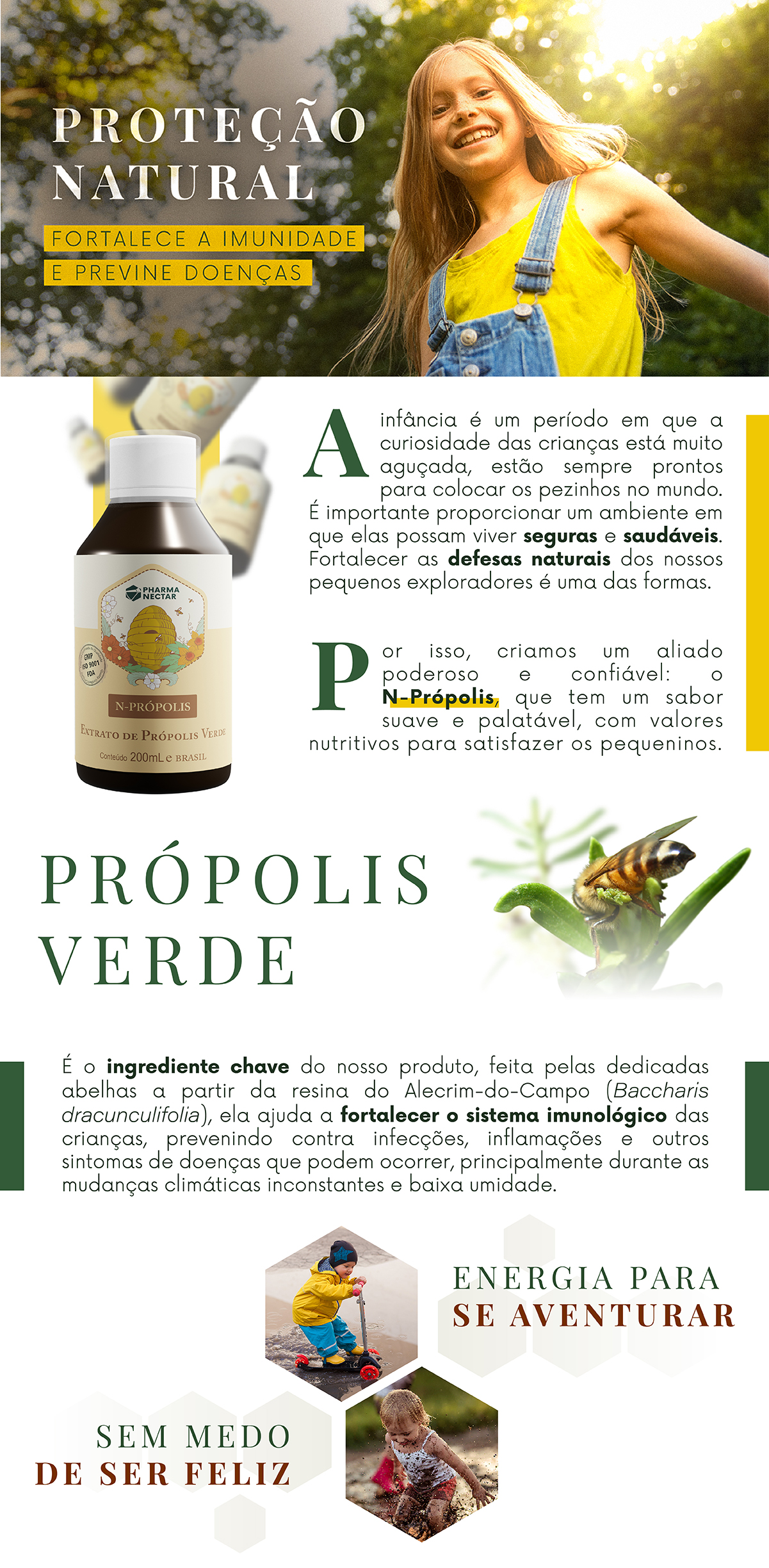 Reforçando o Escudo Natural do Seu Corpo: Própolis para a Imunidade - inspiração 1