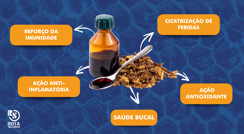 Ação Rápida no Alívio da Dor de Garganta: Como o Própolis Ajuda - inspiração 3