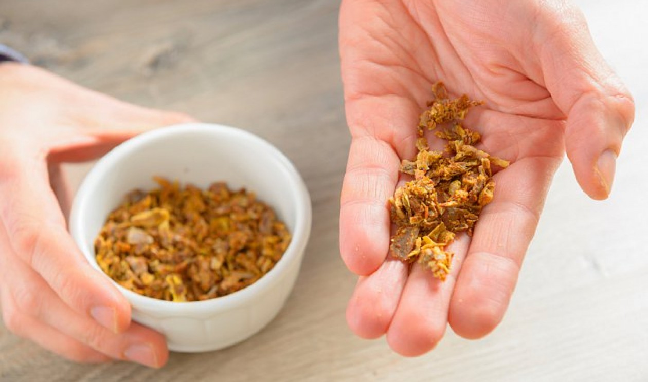 Reequilíbrio Essencial: Própolis no Suporte à Saúde Intestinal e Disbiose - inspiração 3