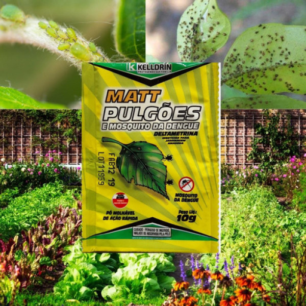 Dica #7: Cuidado com as Formigas – Elas Protegem os Pulgões! - inspiração 2