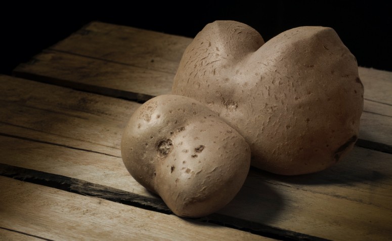 Armazenamento Inteligente: Mantenha Seu Cará-Moela Fresco por Mais Tempo - inspiração 1