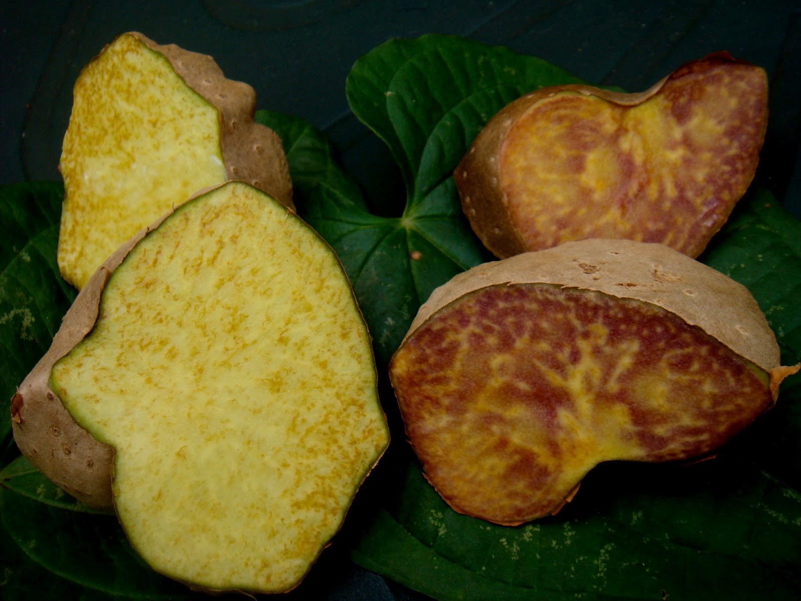 Transformando o Cará-Moela Cozido em um Purê Divino: Textura e Cremosidade - inspiração 1