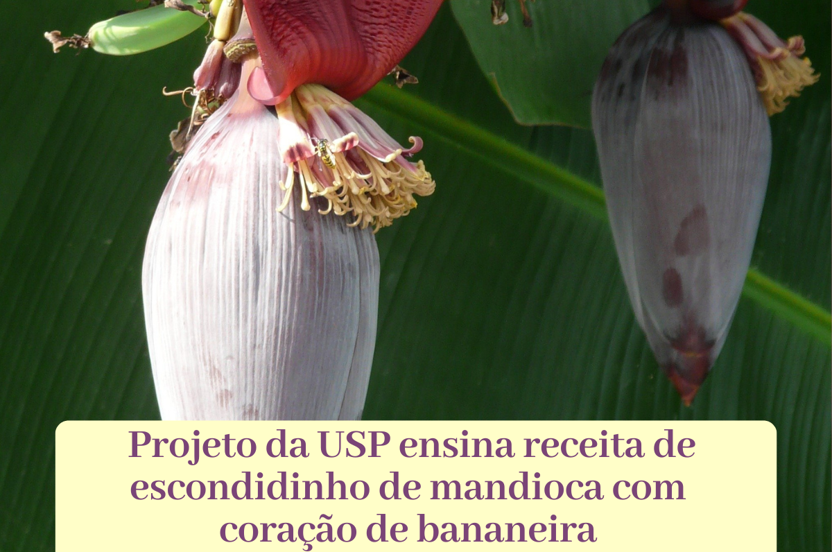 Acompanhamentos Perfeitos: Arroz, Feijão e Muito Mais - inspiração 1