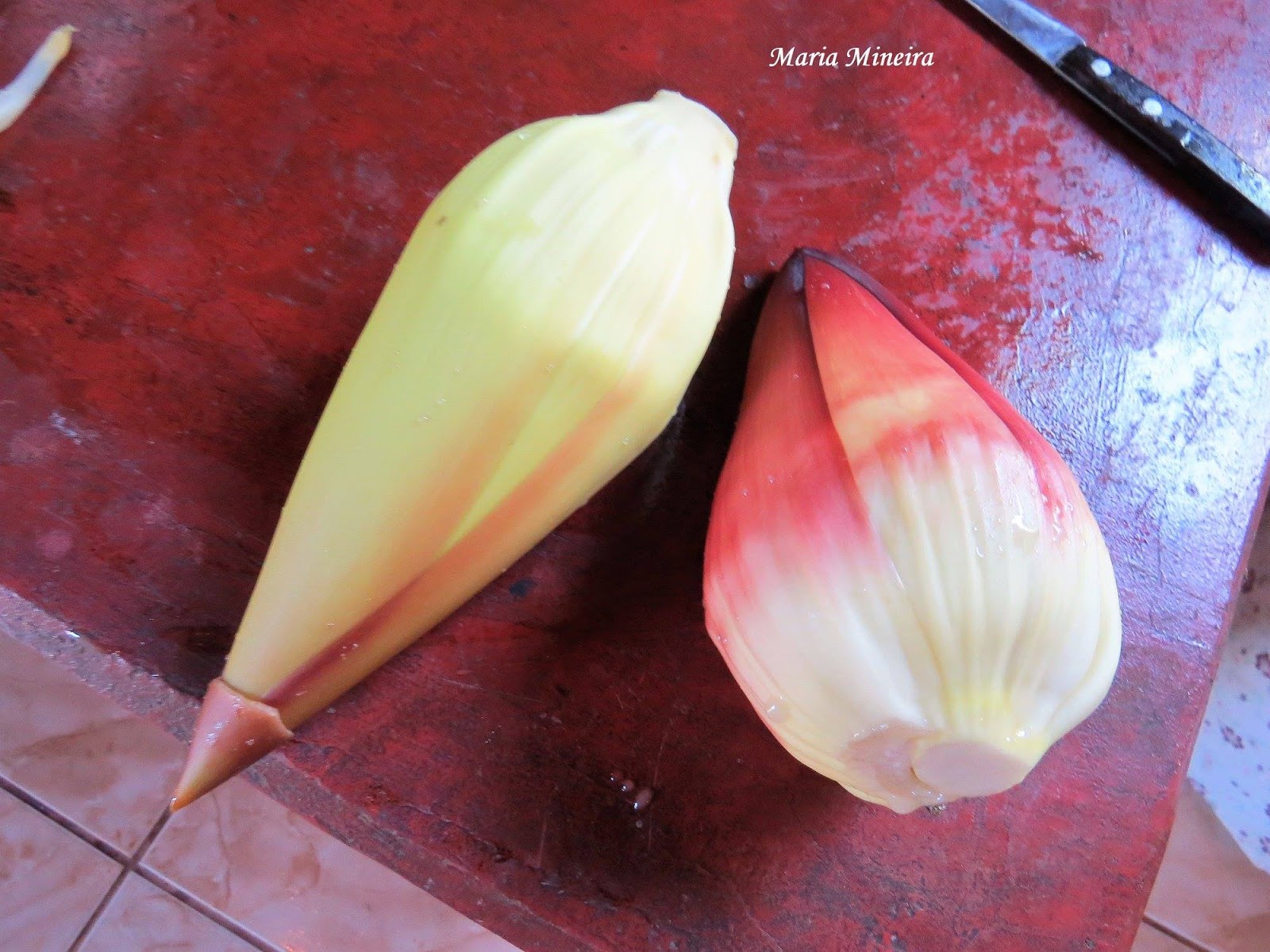 Vinagre ou Sal? A Escolha Certa Para Diminuir o Amargor - inspiração 2