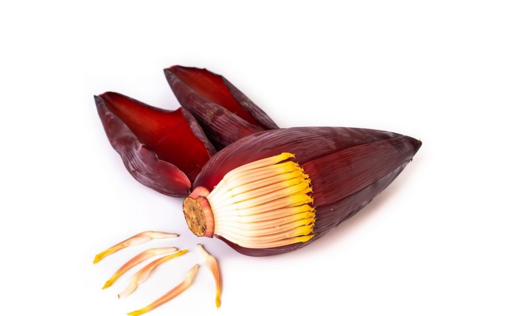 Finalização Fresca: Ervas Aromáticas Que Elevam o Prato - inspiração 1