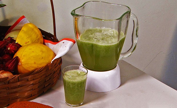 Como Escolher e Higienizar Sua Ora-Pro-Nóbis Fresquinha - inspiração 2