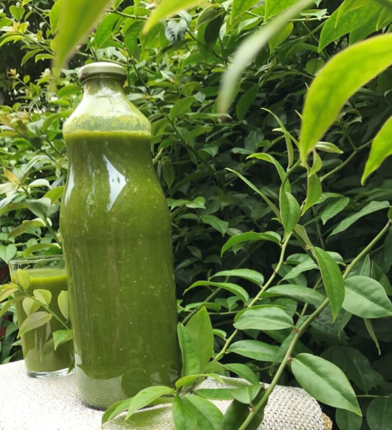 Além do Copo: Outras Maneiras de Incluir a Planta na Dieta - inspiração 2