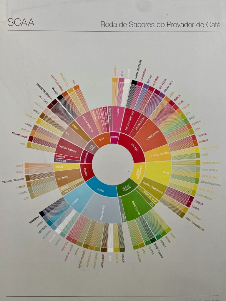 Passo Essencial: Começando a Explorar sua Roda de Sabores Pessoal - inspiração 1