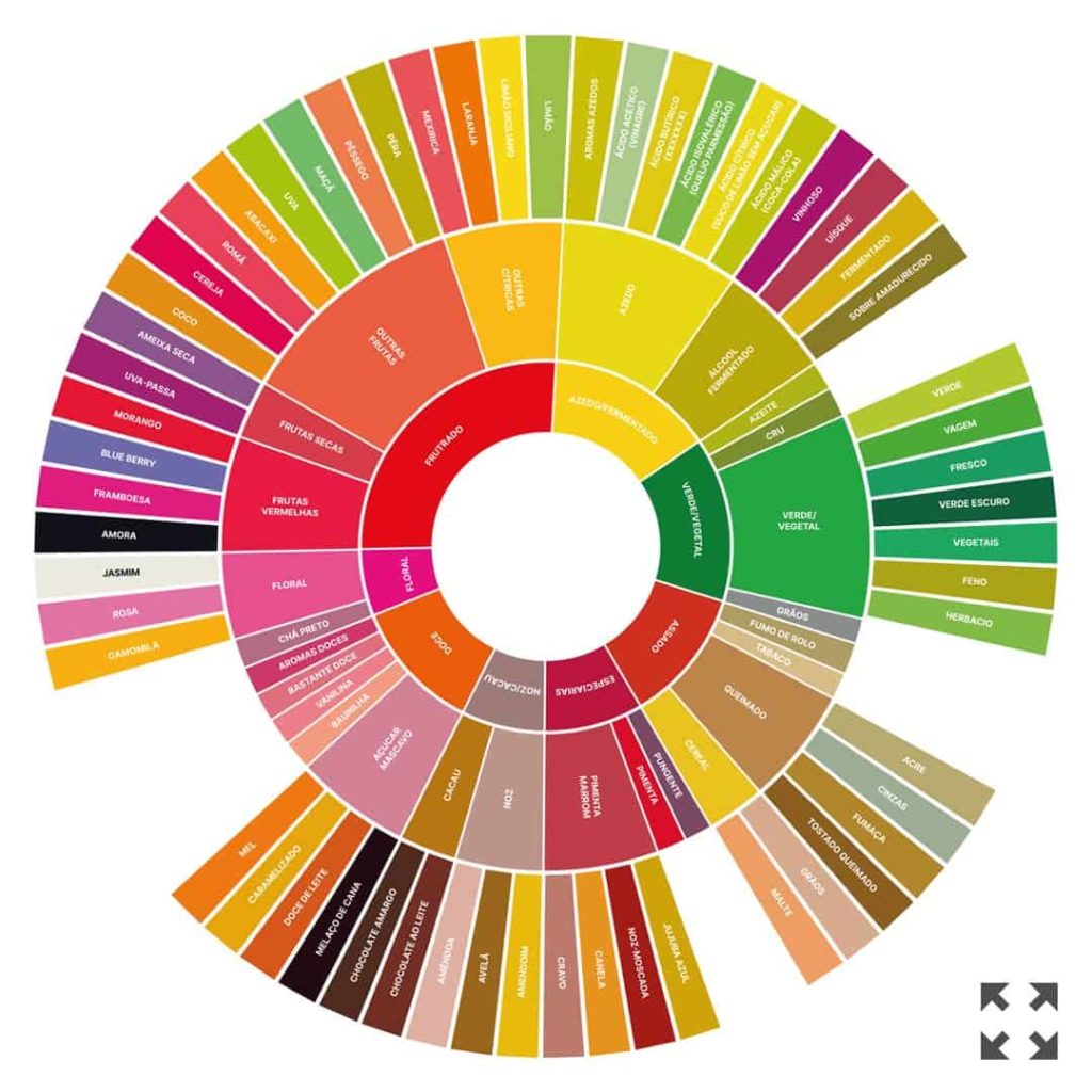 Passo Essencial: Começando a Explorar sua Roda de Sabores Pessoal - inspiração 2