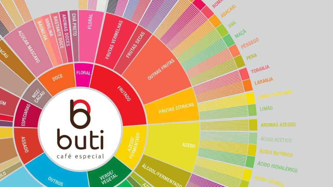Passo Essencial: Começando a Explorar sua Roda de Sabores Pessoal - inspiração 3