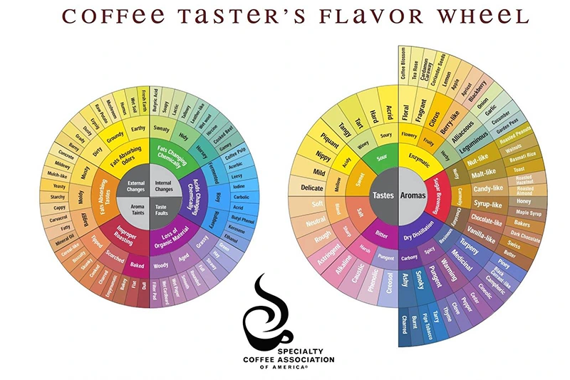 Dica de Ouro: Identificando as Grandes Famílias de Sabores na Roda - inspiração 3