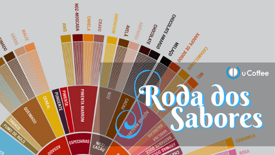 Guia Prático: Especiarias Perfeitas para Doces, Salgados e Bebidas - inspiração 1