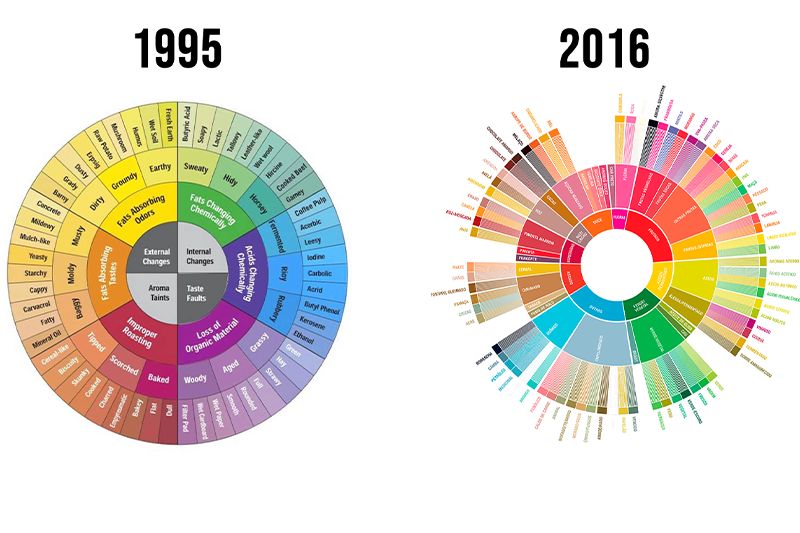 Inspiração no Prato: Criando Receitas Autênticas com a Roda de Especiarias - inspiração 3