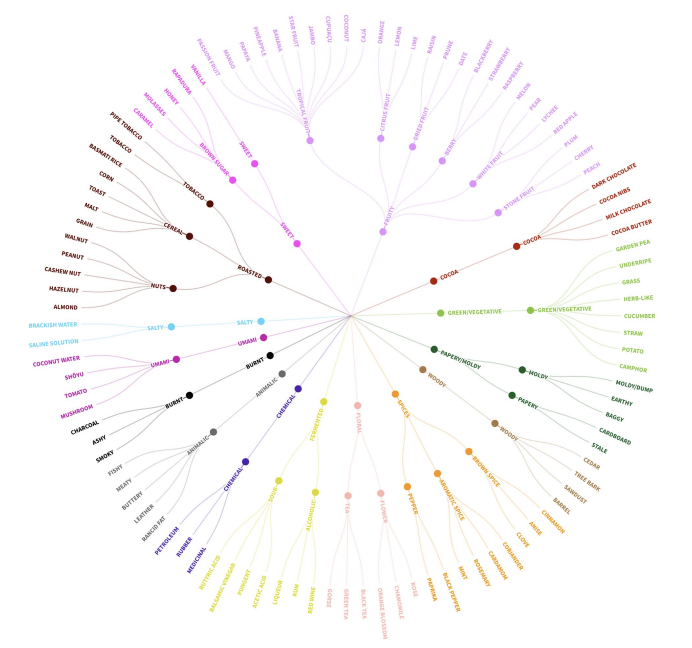 Saúde no Prato: Como as Especiarias Elevam o Sabor e o Bem-Estar - inspiração 3