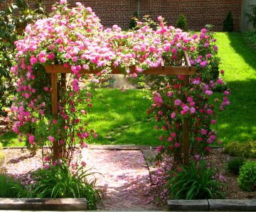 Dica de Ouro: Protegendo Suas Rosas de Condições Climáticas Extremas - inspiração 1