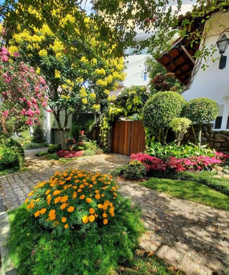 Poda Essencial: O Corte Certo Que Estimula a Floração - inspiração 2