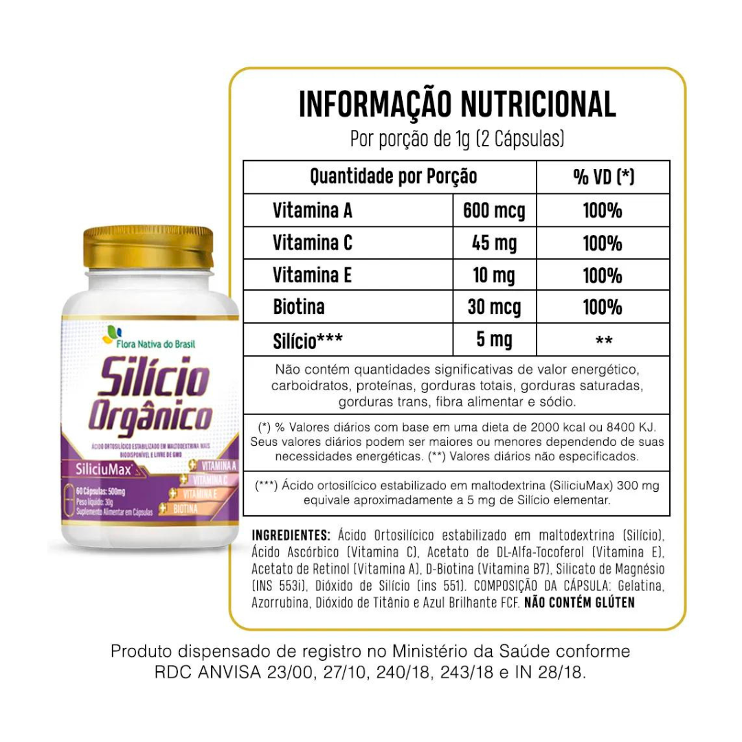 Ossos Protegidos e Fortalecidos: Prevenção Ativa - inspiração 1