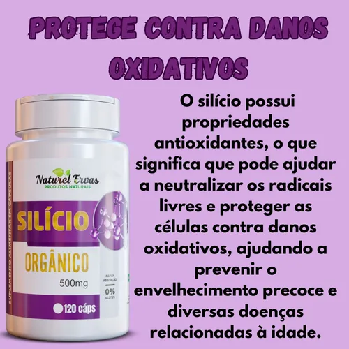 Desvendando o Poder Antioxidante: Seu Escudo Interno - inspiração 3