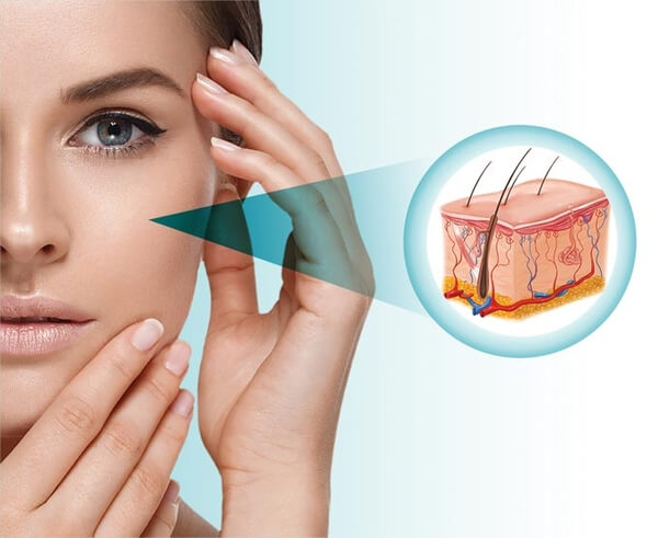 Tipos de Suplementos: Conheça Exsynutriment e BioSil - inspiração 1