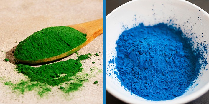 Como a Spirulina fortalece seu sistema imunológico contra gripes e resfriados - inspiração 2