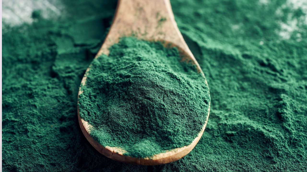 Passo a passo para usar a Spirulina na recuperação muscular pós-treino - inspiração 2