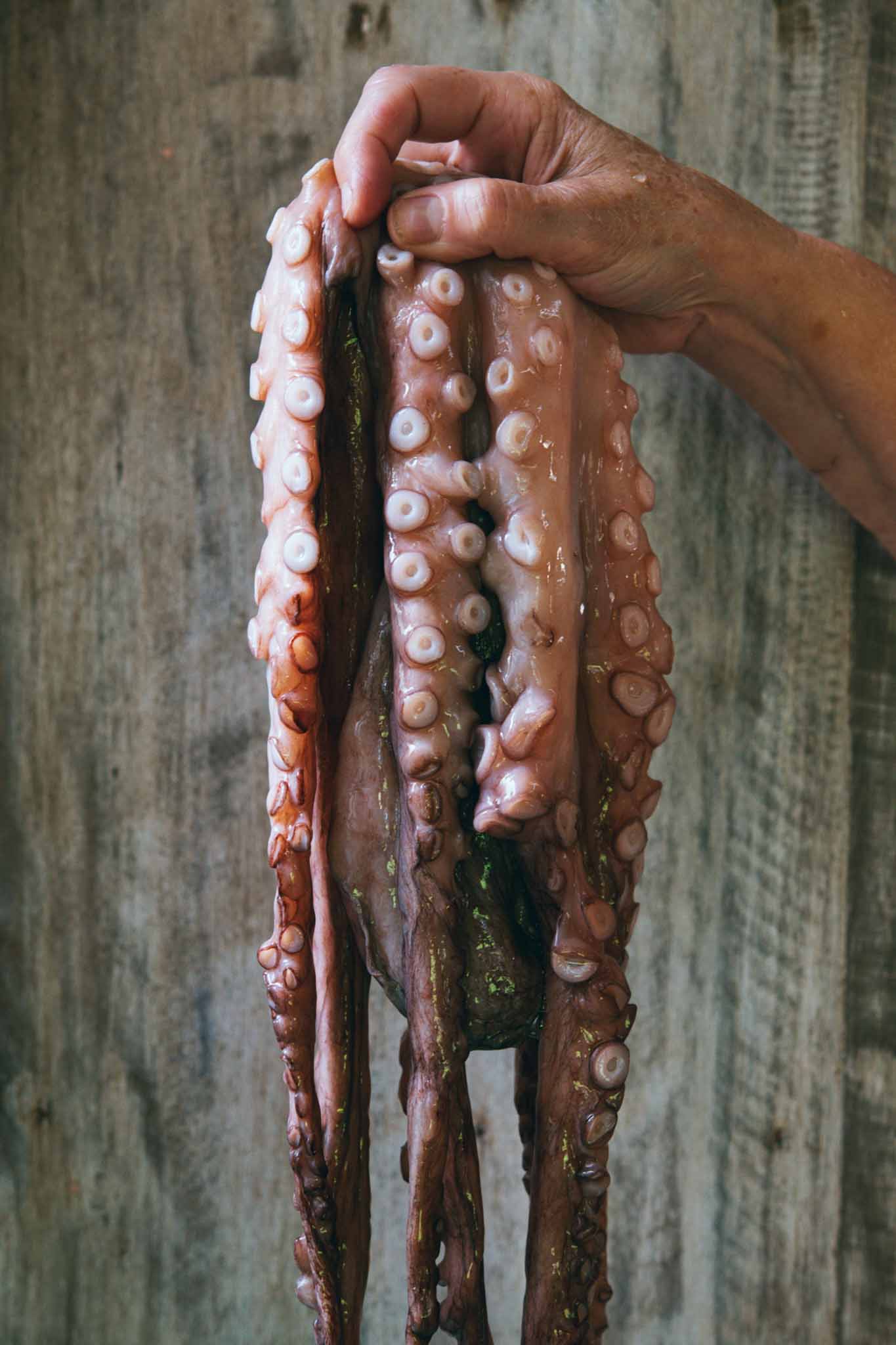 A Base Clássica: Alho, Louro e Azeite Extra Virgem - inspiração 3