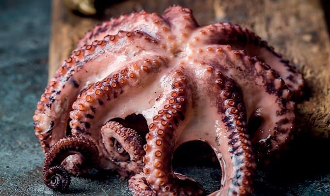 A Força das Ervas: Salsa e Coentro para um Aroma Vibrante - inspiração 3