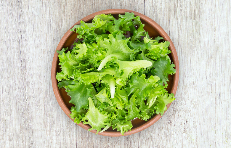 Contraste e Sofisticação: Integrando a Alface Frisée para Paladares Exigentes - inspiração 3