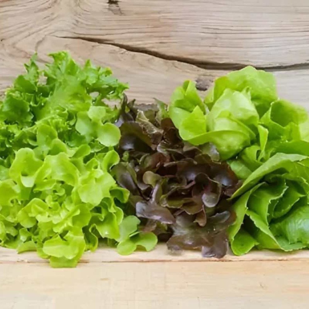 Nutrição em Miniatura: Desvendando a Praticidade e Sabor das Baby Leafs - inspiração 2