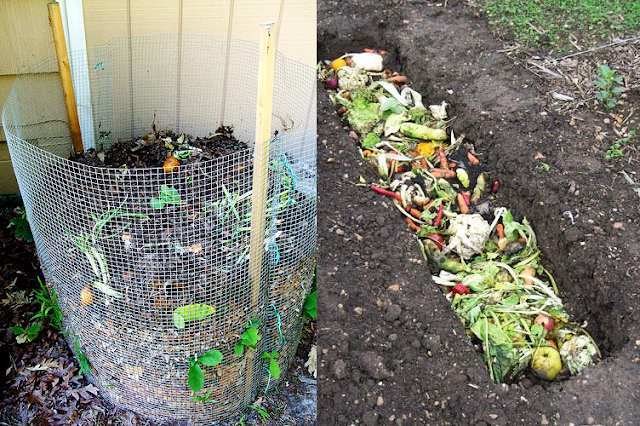 Vermicompostagem: O Poder das Minhocas no Seu Jardim - inspiração 3