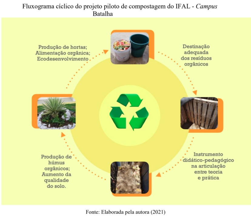Compostagem Termofílica: Acelere a Decomposição com Calor - inspiração 3