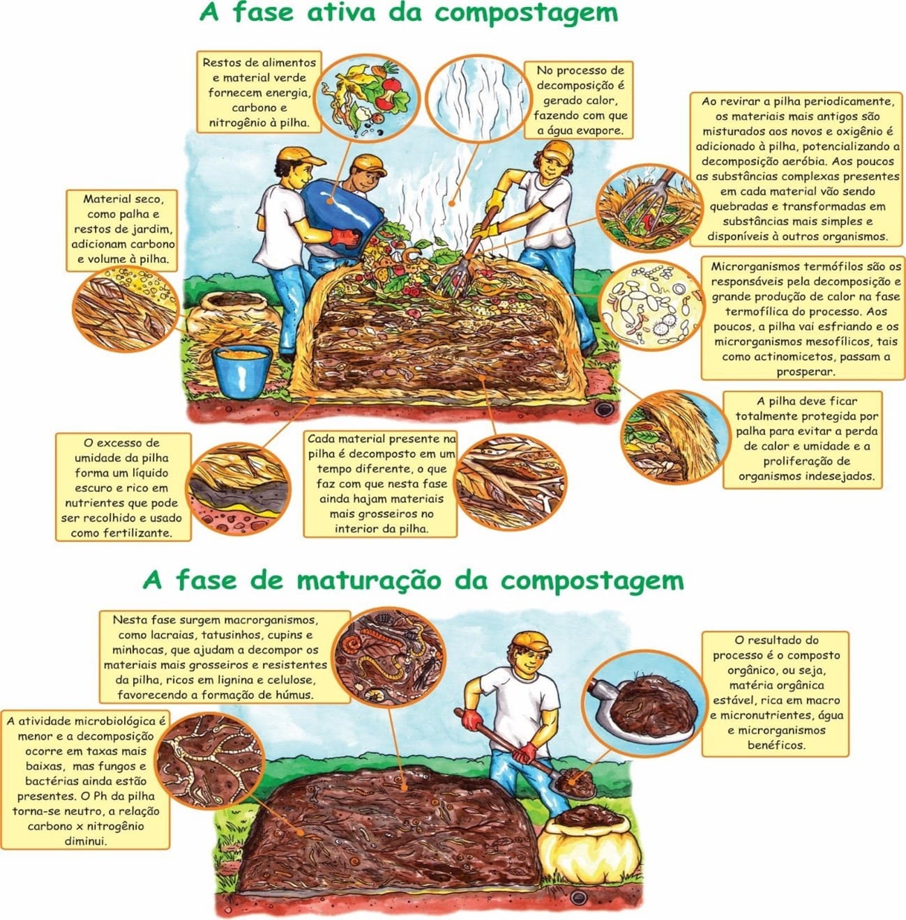 Bokashi: A Arte da Fermentação na Produção de Adubo - inspiração 2