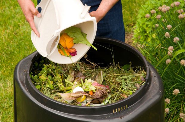 Compostagem Doméstica: Reduza o Lixo e Nutra Suas Plantas - inspiração 1